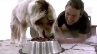 Short Film - Doggie Heaven - of James Wan and Leigh Whannell - 2008