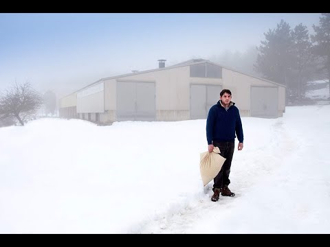 Solo Las Bestias - Final Explicado