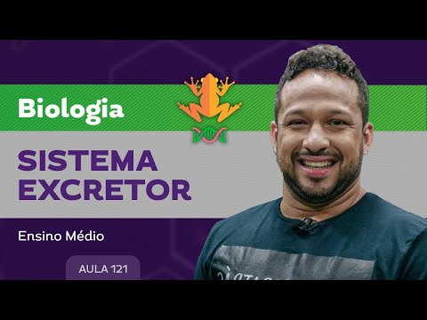 Sistema excretor​ - Biologia - Ensino Médio