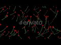 4K Poppie Flowers Rain Motion Graphics