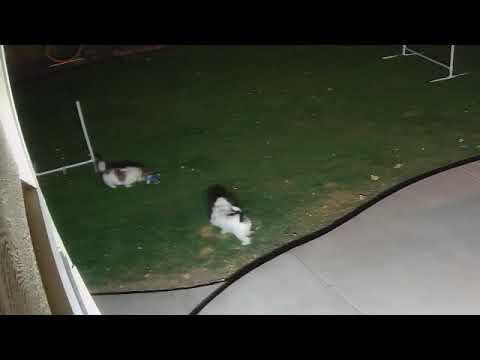 Joey with his birthday present