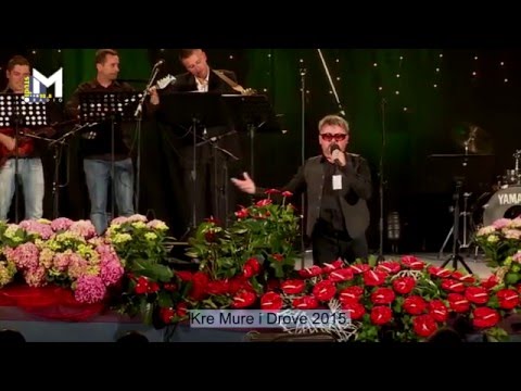Mario Mustač uz TS Odabrani - Kre Drove sam se narodil (festival Kre Mure i Drove, Prelog 2015.)
