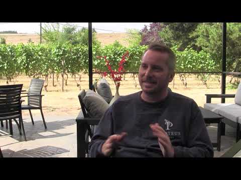 BAILEY MAYER – Oregon Wine History Archive