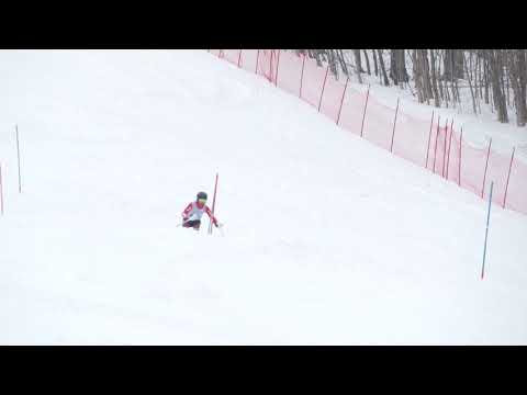 190215 Pico SL C2 R1 OP