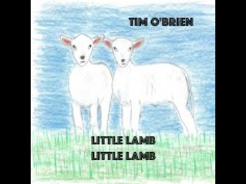 Little Lamb Little Lamb - Tim O'Brien