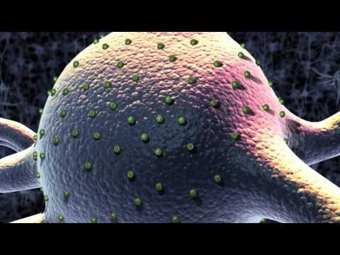 Explained: Optogenetics