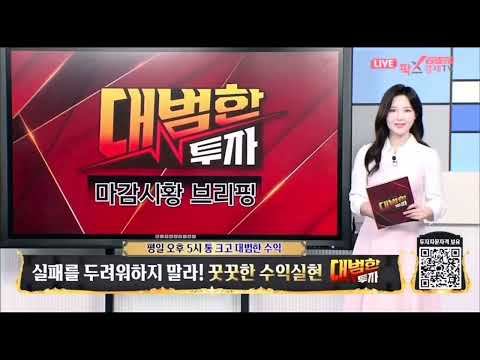 비디오 13