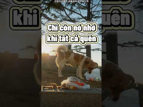 Sau cùng thứ mình không ngờ nhất lại là thứ không bao giờ quên mình