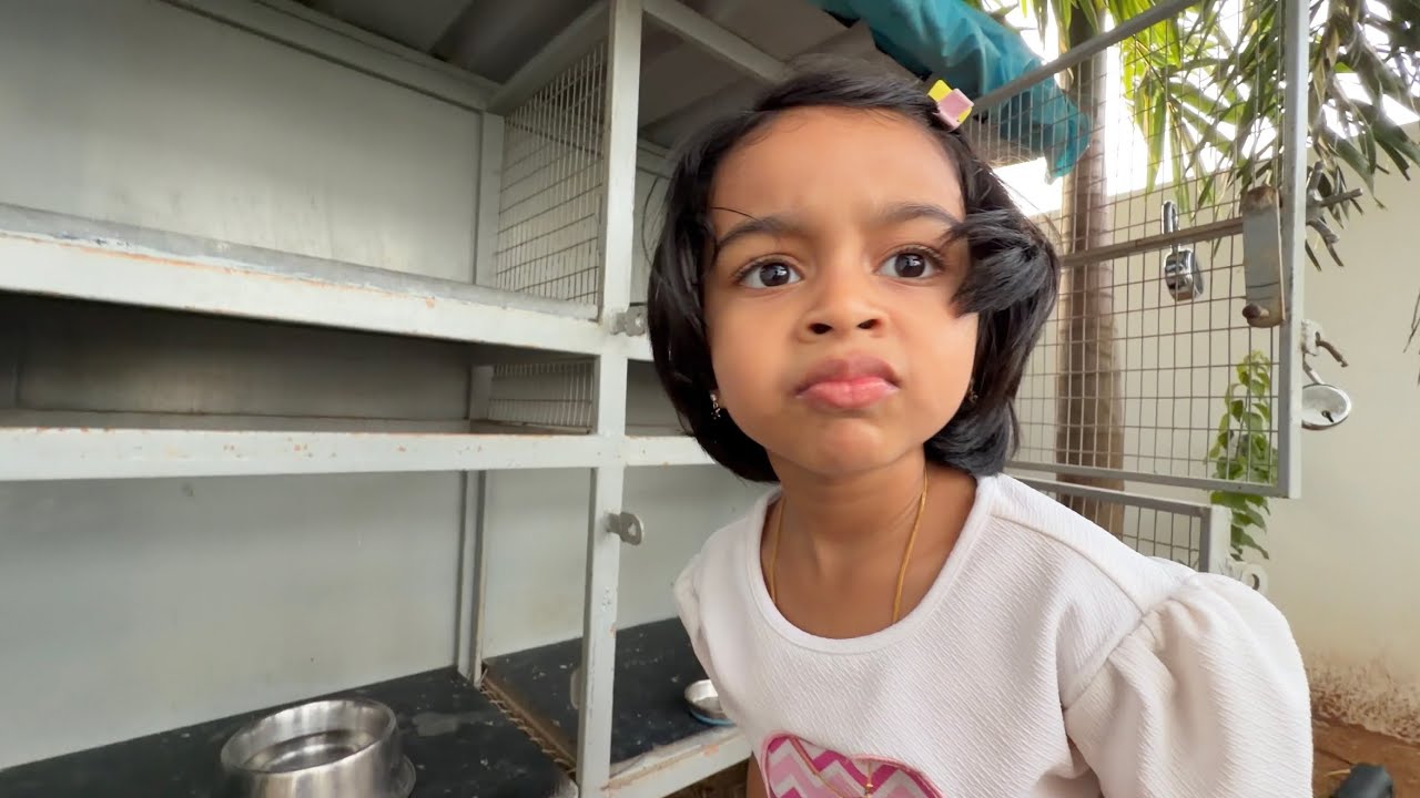 நம்ம CATs-அ காணோம்…😨 AYRA பயந்துட்டா..😵‍💫