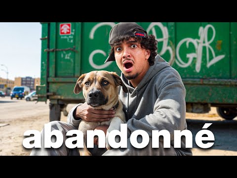 I adopted a stray dog ​​(in my apartment...)