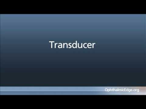 Lecture 2: Basic Physical Principals of Ultrasound