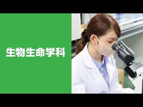 美術学科 崇城大学　生物生命学部　生物生命学科　2023