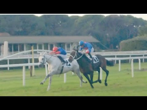 Pisa: 22° successo in carriera per il mezzosangue di 9 anni Ribelle da Clodia; in sella Tore Sulas.