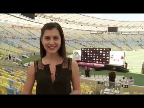 UFC 179: Open Workout Highlights