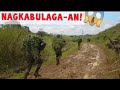 AMBUSH SURPRISE ATTACK BY ENEMY ARMY ATTACK TO ENEMY Newspinas K1p