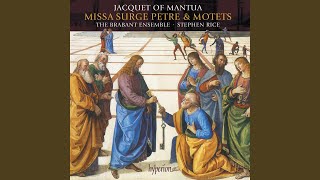 Jacquet of Mantua: Missa Surge Petre: III. Credo