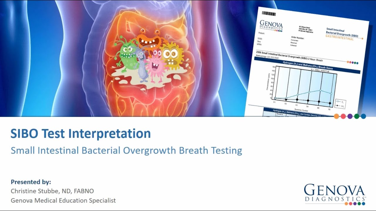 SIBO: Introductory Interpretation