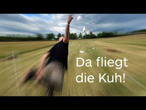 Sommerfest von Unique Personalservice im Hofgut Mappen