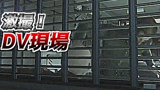 DVする男の見分け方を紹介します【ALIEN ISOLATION実況プレイ】