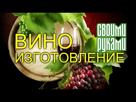 Виноградное вино из изабеллы.