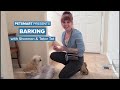 6 Tips to Stop Your Dog’s Barking