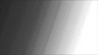 Maxim - Morgens im Park