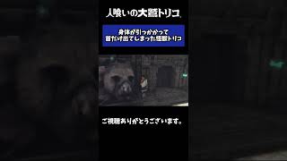 【人喰いの大鷲トリコ】狭いところに頭が挟まってしまった怪獣トリコ #shorts #人喰いの大鷲トリコ
