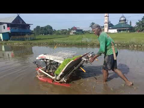 penggunaan mesin transpalanter pada musim tanam MT I di desa panaikang