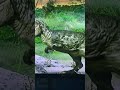 SpongeBob SquarePants Patchy The Pirate And T Rex Dinosaur