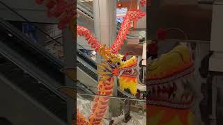 Download lagu BARONGSAI(ULARNAGA)#videos#barongsai#imlek#semarang#video#videos#videoshort#happy#fun#jalanjalan mp3