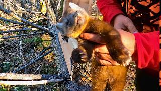 Tough Day of Trapping: Episode 20