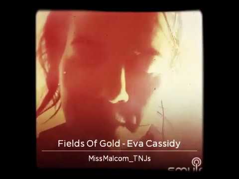 Malin Berglund - Fields Of Gold