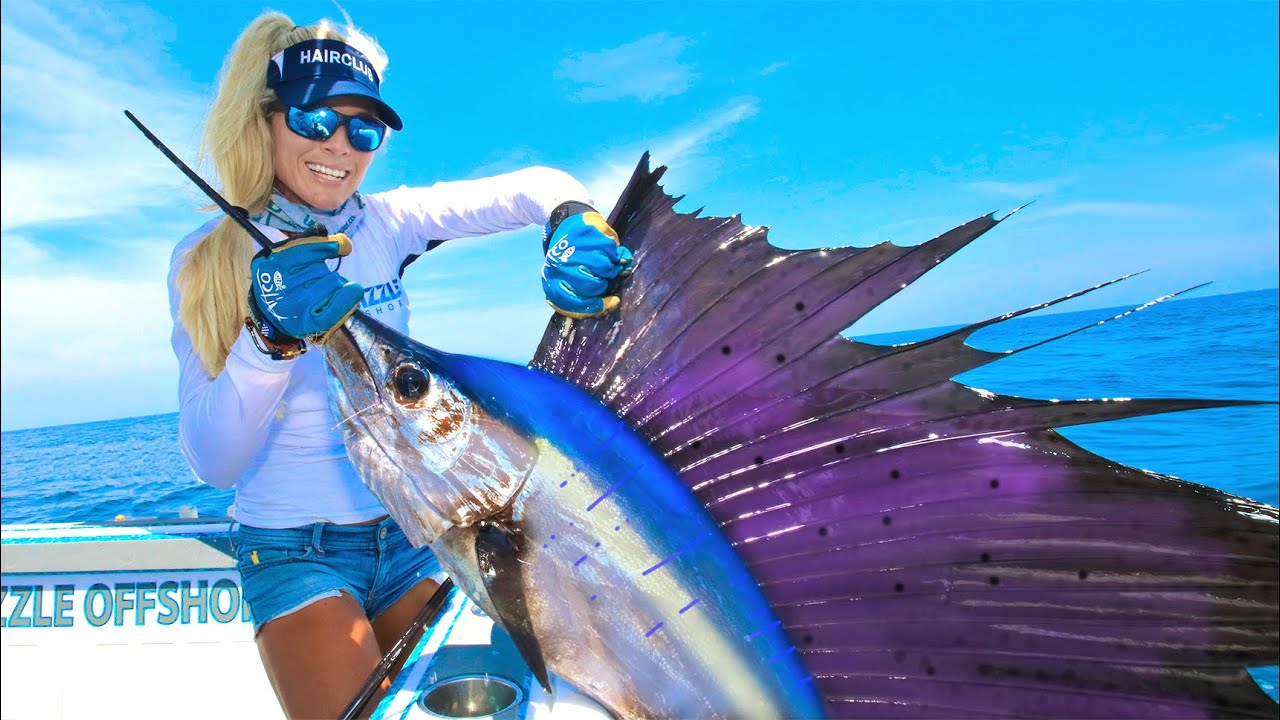 The MAJESTIC Atlantic sailfish Chasing down the FASTEST FISH IN THE SEA