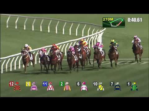 23/2/2022 (448) Scotch Tycoon - Z Purton