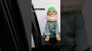 Download lagu Tab Tabi Tab Arabic Cat Meme #cat #brainrot #shorts #arabic mp3 Download lagu Tab Tabi Tab Arabic Cat Meme #cat #brainrot #shorts #arabic mp3