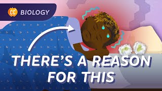 Animal Defense Systems: How Skin, Snot, and Cells Keep Us Healthy: Crash Course Biology #45