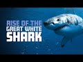 Rise Of The Great White Shark 4K