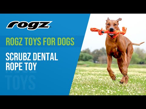 Rogz Scrubz žaislas šunims aktyviems žaidimams raudonas 31,5cm