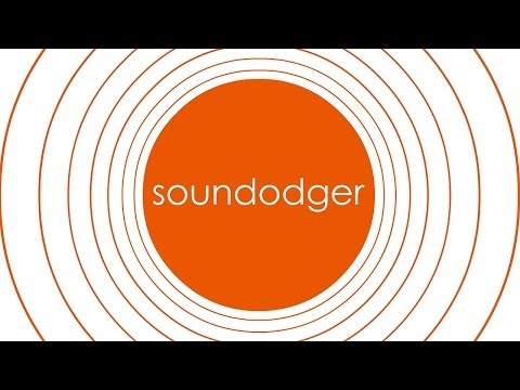 Soundodger+ PC