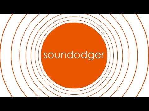 Soundodger+ PC