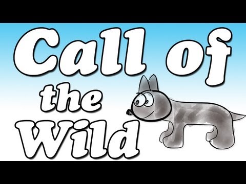 Call of the Wild by Jack London (Book Summary and Review) - Minute Book Report