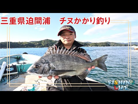 三重県迫間浦でチヌかかり釣り