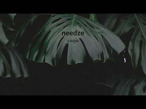 Needze - Coaja