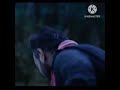 Best Dialogue Bhola Movie Ajay Devgan Shorts