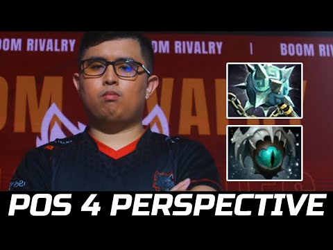 TIMS SUPPORT PERSPECTIVE - GLEINIR WEAVER DOTA 2