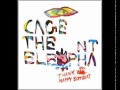 Cage the Elephant- Indy Kidz (Lyrics)