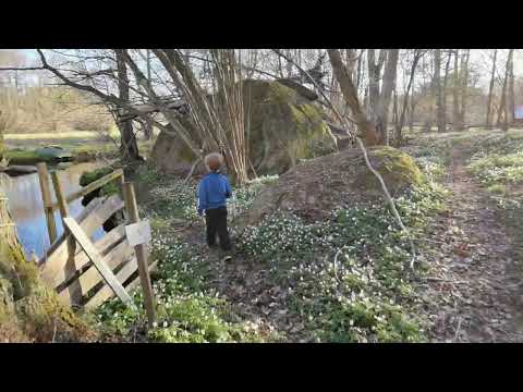 MÖRTSTRÖMMEN - Väby - BRÄKNE-HOBY - 2022-04-29 - Ronneby - BLEKINGE