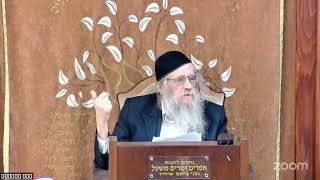 הרה"ג הרב וועכטר שליט"א י"ח אדר תשפ"ה - מאמר הרבי הריי"צ תש"פ ד"ה ראשית גויים עמלק (הרב אברהם מנחם מענדל וכטר) - התמונה מוצגת ישירות מתוך אתר האינטרנט יוטיוב. זכויות היוצרים בתמונה שייכות ליוצרה. קישור קרדיט למקור התוכן נמצא בתוך דף הסרטון