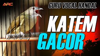 Download lagu KAPAS TEMBAK GACOR SANG GURU VOCAL YANG HANDAL mp3