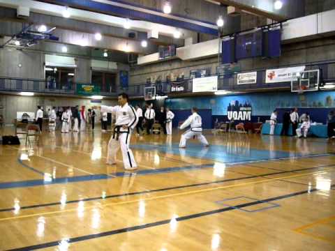 Canadian ITF Taekwon-Do Nationals 2009 - Mens 4th Dan patterns semi-finals